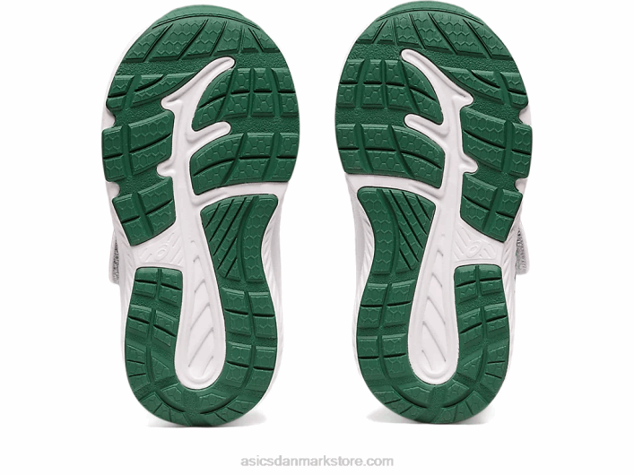 Asicskæmpe 8 småbørnsstørrelse skolegård 60Z44411 havglas/orkidé