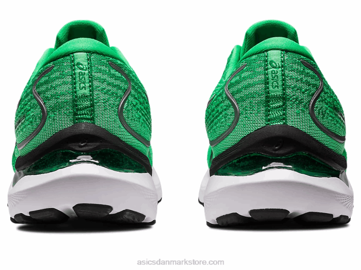 Asicsgel-cumulus 24 60Z4392 koriander/sort