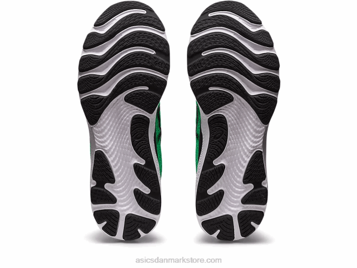 Asicsgel-cumulus 24 60Z4392 koriander/sort