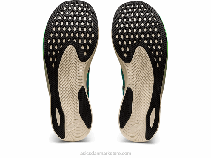 Asicsmagic speed 2 ekiden 60Z4846 nyt blad/sort