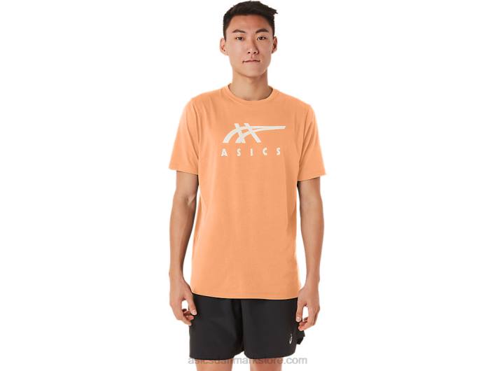 Asicsstribet kortærmet t-shirt 60Z470 sommerklit